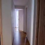 Beskidek Szary * Gilowice